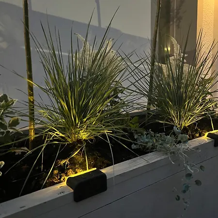 M7 Apartament Leśna